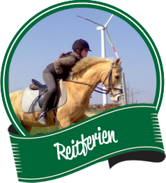 Reitferien Niederrhein Reitanlage Dümpenhof