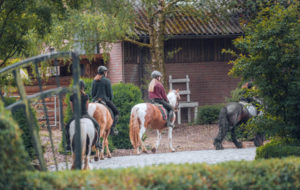 reiterhof-herbstferien