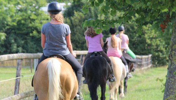 reitferien-ausritt-herbst