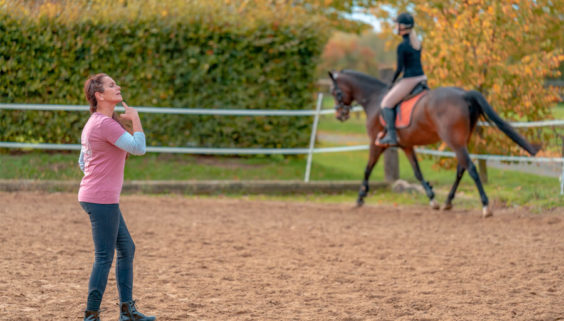 Reitschule in Wachtendonk