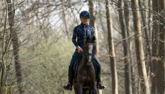 Vielseitigkeits Lehrgang Reitschule Niederrhein