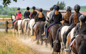 Klassenfahrt mit Reiten